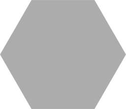 Фото плитки CODICER 95 SOLID HEX SILVER 22Х25 из коллекции CODICER 95 SOLID 