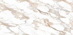 Фото плитки CER-ROL ENDLESS MELITA CARRARA POLISHED ENDLESS 60X120 из коллекции CER-ROL ENDLESS 