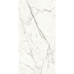 Фото плитки ATLAS CONCORDE STATUARIO SUPREMO POLISHED ST AF6A 162X324X1,2 из коллекции ATLAS CONCORDE PLAN 