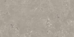 Фото плитки AZUVI NEEKO TAUPE SL 60X120 из коллекции AZUVI NEEKO 