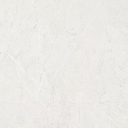 Фото плитки INTERGRES RELIABLE СВЕТЛО-СЕРЫЙ 60х60 из коллекции INTERGRES RELIABLE 