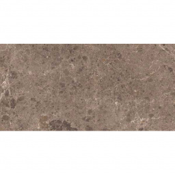 Фото плитки GRESPANIA ARTIC MOKA PULIDO 78x158 из коллекции GRESPANIA ARTIC 