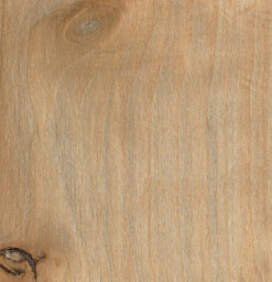 ЛАМИНАТ ALSAPAN ALSAPRO TENDANCE PRO V4 (12mm) 33кл CLIP A 529 ДУБ АМАНД CLIP A