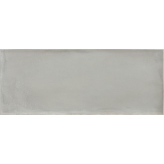 Фото плитки ARGENTA CAMARGUE GRIS 20x50 из коллекции ARGENTA CAMARGUE 