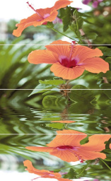 Фото плитки CER-ROL IMPERIA FLORA KOMPLET 4 POL 20X50 из коллекции CER-ROL IMPERIA 