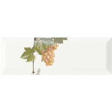 Фото плитки MONOPOLE UVA MOSCATEL BLANCO 3 10x30 из коллекции MONOPOLE UVAS 