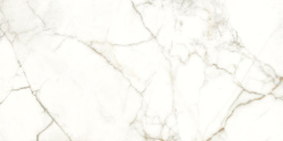 Фото плитки NAXOS RHAPSODY EMOTION LEV RET 60X120 из коллекции NAXOS RHAPSODY 