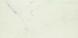 Фото плитки MARAZZI ALLMARBLE ALTISSIMO MMFC 60X120 из коллекции MARAZZI ALLMARBLE 