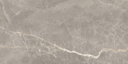 Фото плитки ARGENTA LIVIA MOKA SILK 60X120X0.9 из коллекции ARGENTA LIVIA 