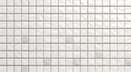 Фото плитки ATLAS CONCORDE VIVACE BIANCO 25X45 из коллекции ATLAS CONCORDE VIVACE 