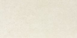 Фото плитки LASSELSBERGER RAKO BASE LIGHT BEIGE, . 29,8X59,8 из коллекции LASSELSBERGER RAKO BASE 
