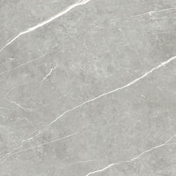 Фото плитки TAU CERAMICA ELITE GRAY PUL 60x60x0,9 из коллекции TAU CERAMICA ELITE 