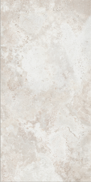 Фото плитки CENTURY AURUM CANDOR NAT RETT 124802 60x120 из коллекции CENTURY AURUM 