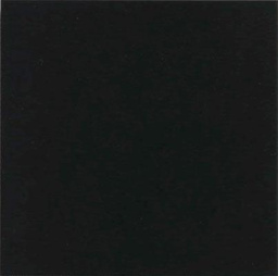 Фото плитки VIVES MONOCOLOR NEGRO 20X20X1 из коллекции VIVES MONOCOLOR 