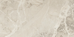 Фото плитки FANAL ELEGANCE MARFIL REC. NPLUS 60Х120 из коллекции FANAL ELEGANCE 