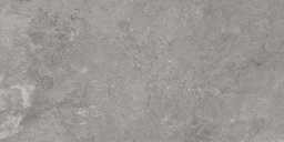 Фото плитки RAGNO LUNAR R7AT SILVER 60X120 из коллекции RAGNO LUNAR 
