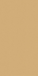 Фото плитки CERDISA EC1/22 / ECC RAY NATURAL RETT 60X120 из коллекции CERDISA EC1/22 