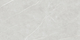Фото плитки TAU CERAMICA ELITE SILVER MATT 90x180x0,9 из коллекции TAU CERAMICA ELITE 