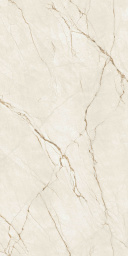 Фото плитки COVERLAM CANELA ROMA BK-B 162x324x2 из коллекции COVERLAM CANELA ROMA 