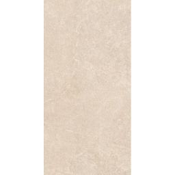 Фото плитки MAYOR SAVOY DESERT C3 OUT 60X120 из коллекции MAYOR SAVOY 