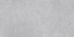 Фото плитки TAU CERAMICA MUST NOVASTONE SILVER RECT. 60X120 из коллекции TAU CERAMICA NOVASTONE 