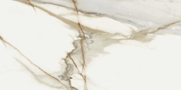 Фото плитки COVERLAM MACCHIA VECCHIA PUL. 60x120x0,56 из коллекции COVERLAM MACCHIA VECCHIA 