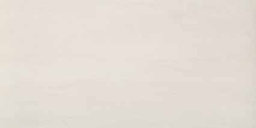 Фото плитки ATLAS CONCORDE ARTY MILK 8ARL 8ARI 40х80 из коллекции ATLAS CONCORDE ARTY 