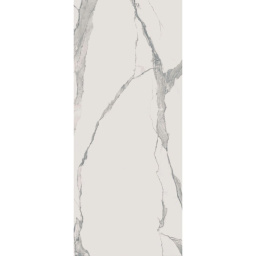 Фото плитки FLORIM GROUP SKIN MARBLE STATUARIO MATTE 120x300x0,3 из коллекции FLORIM GROUP FLORIM SKIN 
