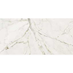 Фото плитки AZULEJOS BENADRESA RAVENA PULIDO RECT. 60X120 P6012P из коллекции AZULEJOS BENADRESA RAVENA 