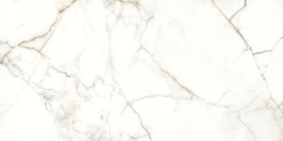 Фото плитки NAXOS RHAPSODY EMOTION NAT RET 60X120 из коллекции NAXOS RHAPSODY 
