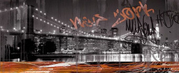 Фото плитки CER-ROL FIBRA NEW YORK CENTRO MAT 25X60 из коллекции CER-ROL FIBRA 