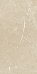 Фото плитки CENTURY MEDLEY OPTIC NATURALE RET 60X120 из коллекции CENTURY MEDLEY 