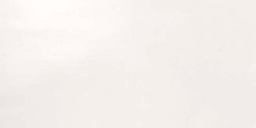 Фото плитки ATLAS CONCORDE DWELL OFF-WHITE RT* 50X110 из коллекции ATLAS CONCORDE DWELL 