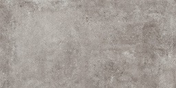 Фото плитки PAMESA MONTPELLIER ASH 60x120 из коллекции PAMESA MONTPELLIER 