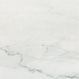 Фото плитки ATLAS CONCORDE STYLE BIANCO VENATO 60Х60 из коллекции ATLAS CONCORDE STYLE 