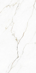 Фото плитки TAGINA SEGESTA CARAMEL LUCIDATO RET 127045 60x120 из коллекции TAGINA SEGESTA 