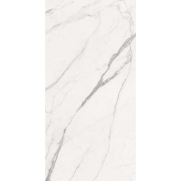 Фото плитки ABK SENSI SIGNORIA STATUARIO LIGHT NAT RETT 60Х120X0,85 из коллекции ABK SENSI SIGNORIA 