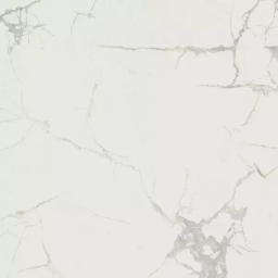 Фото плитки ALMERA CERAMICA P.E. FARAYA WHITE SAT RECT 100Х100 из коллекции ALMERA FARAYA 