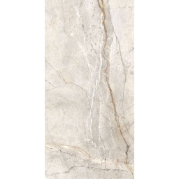 Фото плитки MARAZZI STONE LOOK MYSTONE SILVER ROOT BEIGE R10 RETT MPFM 60x120x0,9 из коллекции MARAZZI MYSTONE SILVER ROOT 