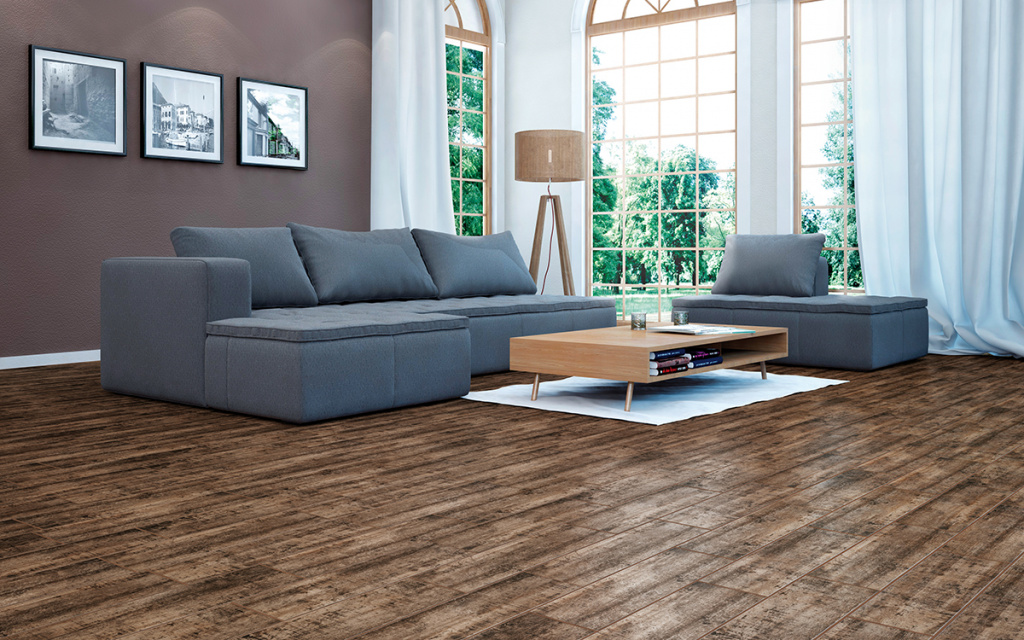 CELTIS2.jpg CELTIS2.jpg