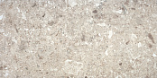 STILECERAMIC STONE NUT REC 60x120x0,78