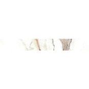 CERRAD CALACATTA GOLD 8X60