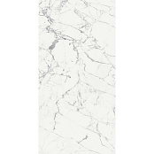 REX LES ORIGINES BLANC 769856 60X120X1