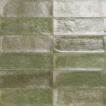 MAINZU VILAGE PALMS 10X30