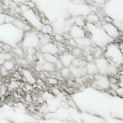 PAMESA ARABESCATO PEARL 120X120