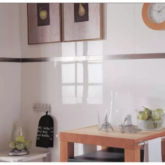 BUTECH PRO-TELO INOX BRILLANTE B72141110 100005299 СЕРЕБРО 250Х4Х0,8