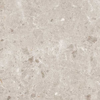 GRESPANIA ARTIC BEIGE PULIDO 59x59