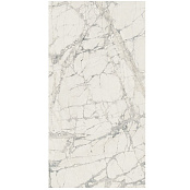 REX PREXIOUS MOUNTAIN TREASURE 756295 120X240X0,6