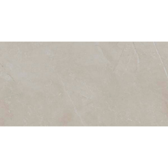 ECOCERAMIC SLABS GRIS 60Х120 - LP0869