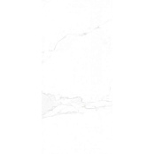 ECOCERAMIC MARSHALL WHITE  017 60Х120